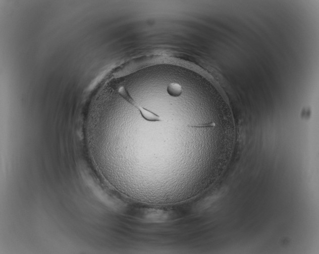 X0000114140347200910151615