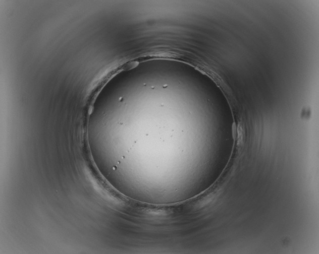 X0000114140349200910151615