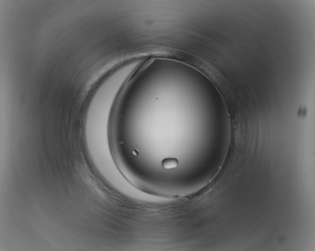 X0000114140350200910151615