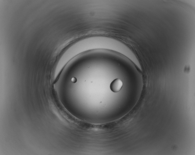 X0000114140352200910151615