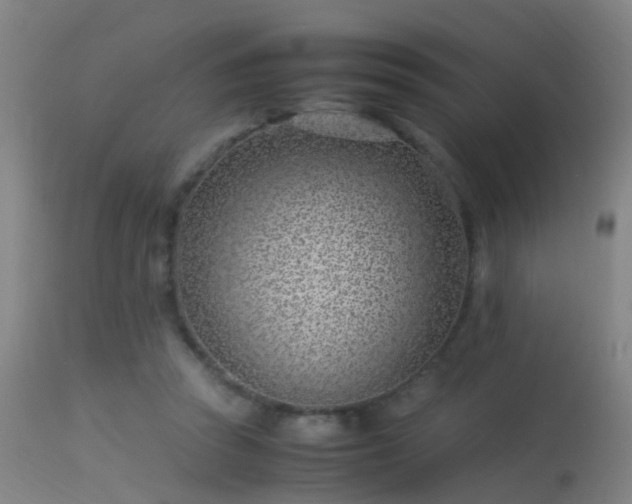 X0000114140353200910151615