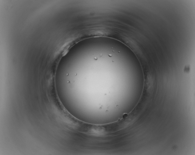 X0000114140355200910151615