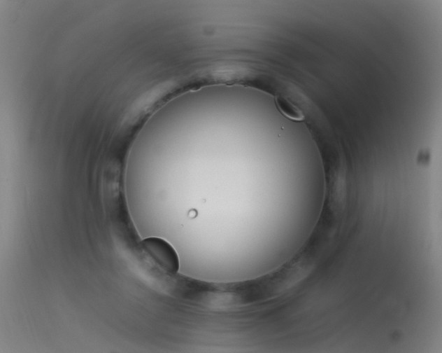 X0000114140356200910151615