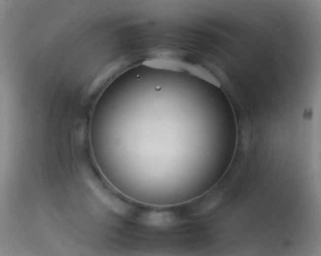 X0000114140357200910151615