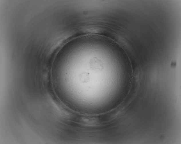 X0000114140359200910151615