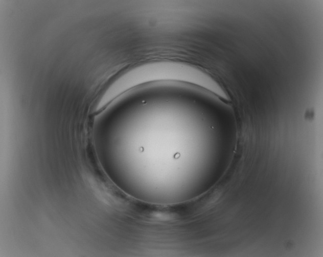 X0000114140360200910151615