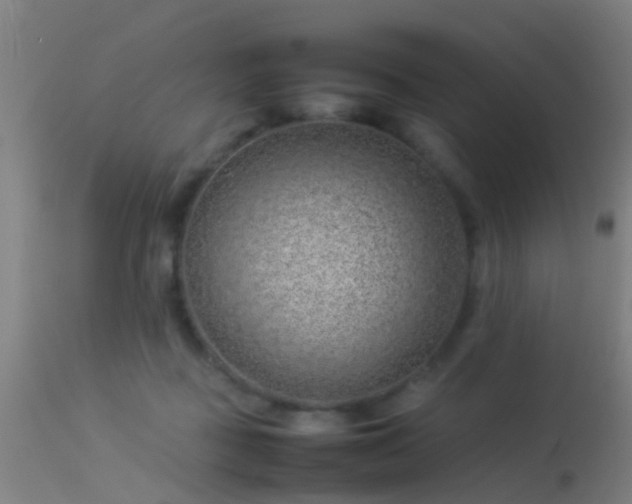 X0000114140363200910151615