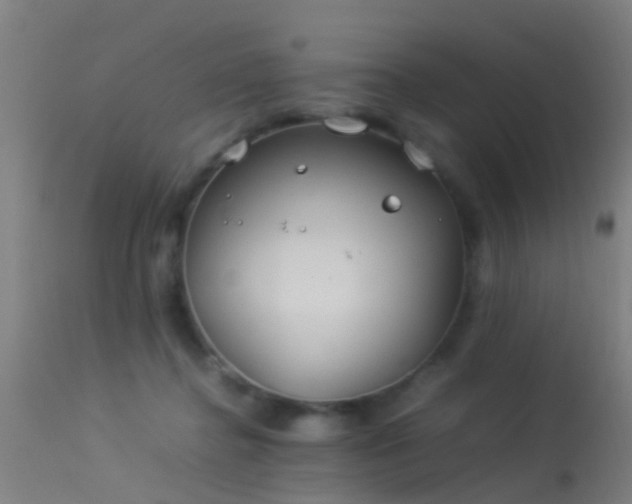 X0000114140364200910151615