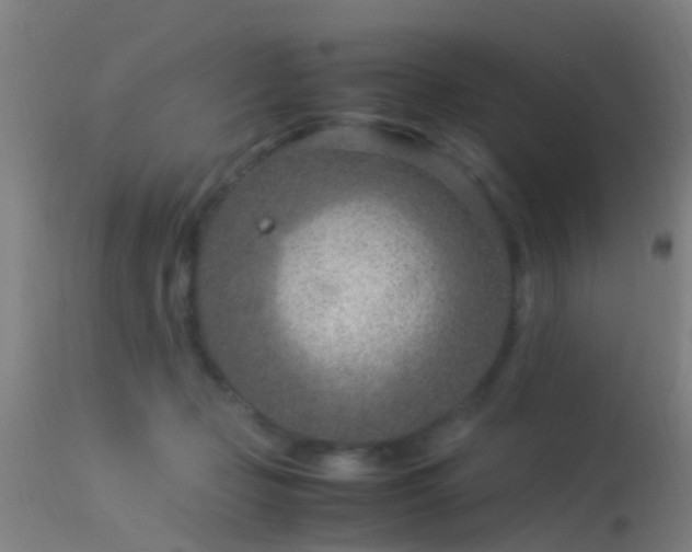 X0000114140365200910151615