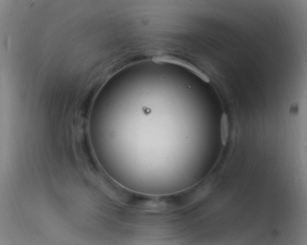 X0000114140366200910151615