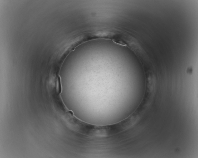 X0000114140368200910151615