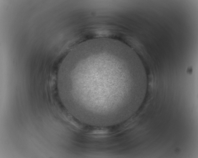 X0000114140369200910151615