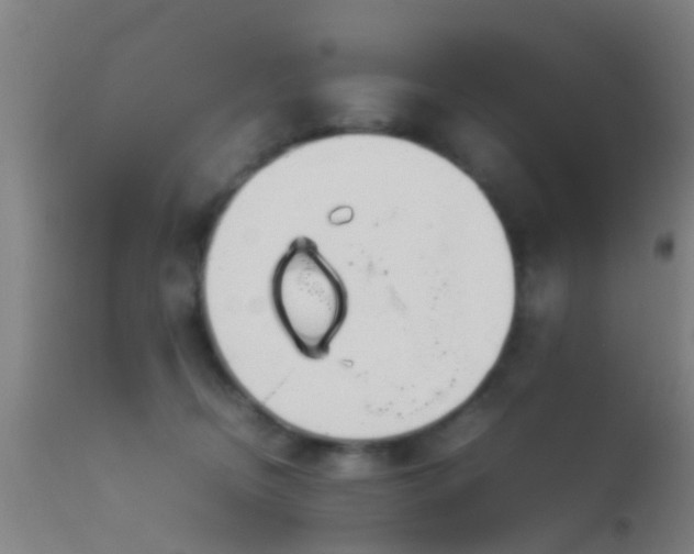 X0000114140370200910151615