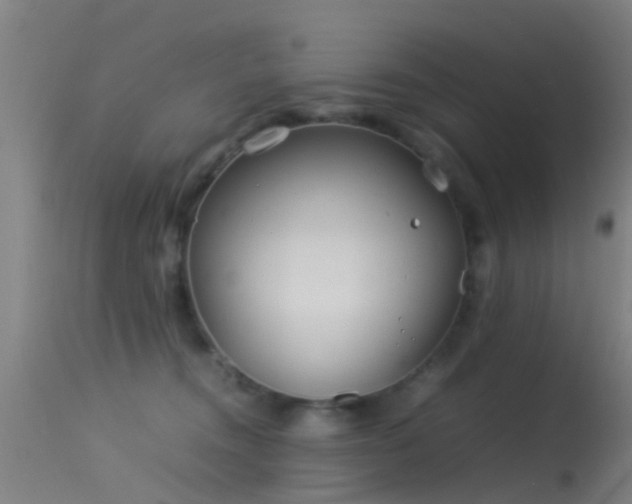 X0000114140372200910151615