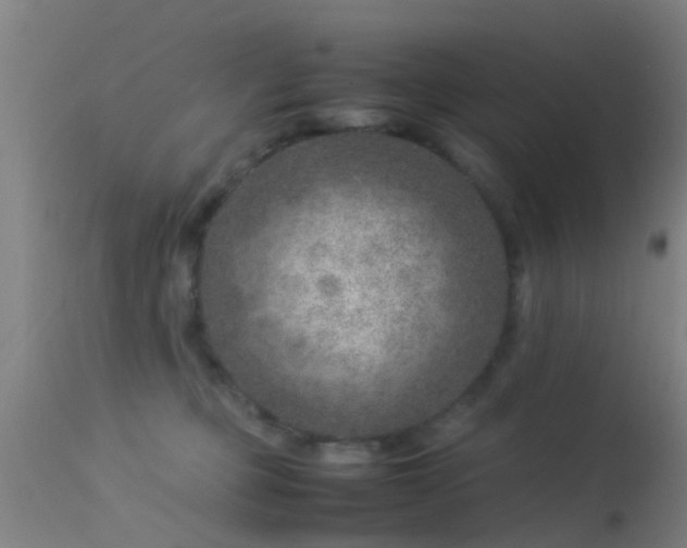 X0000114140373200910151615