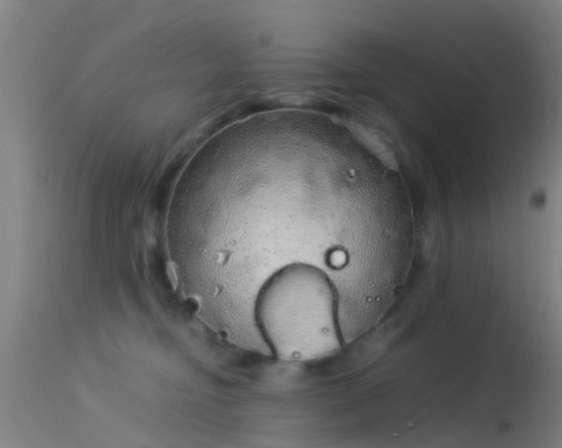 X0000114140374200910151615