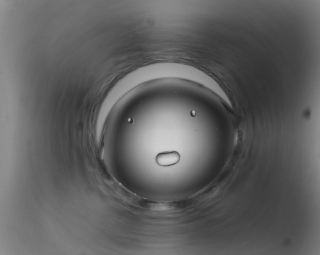 X0000114140380200910151615