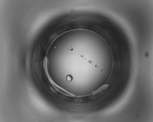 X0000114140382200910151615