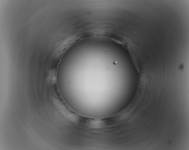 X0000114140383200910151615