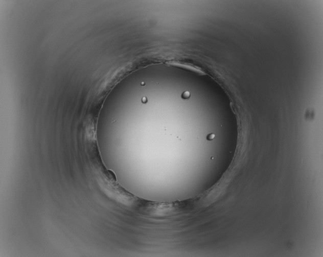 X0000114140384200910151615