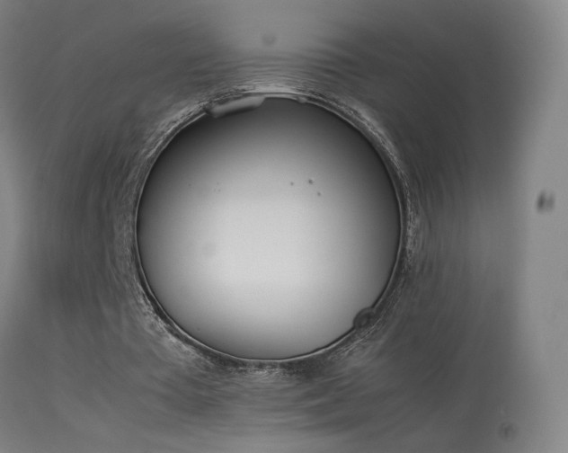 X0000114140385200910151614