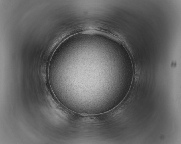 X0000114140386200910151614