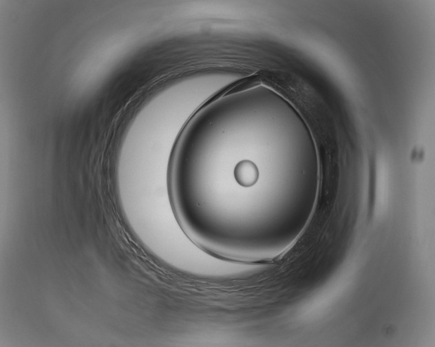 X0000114140387200910151614