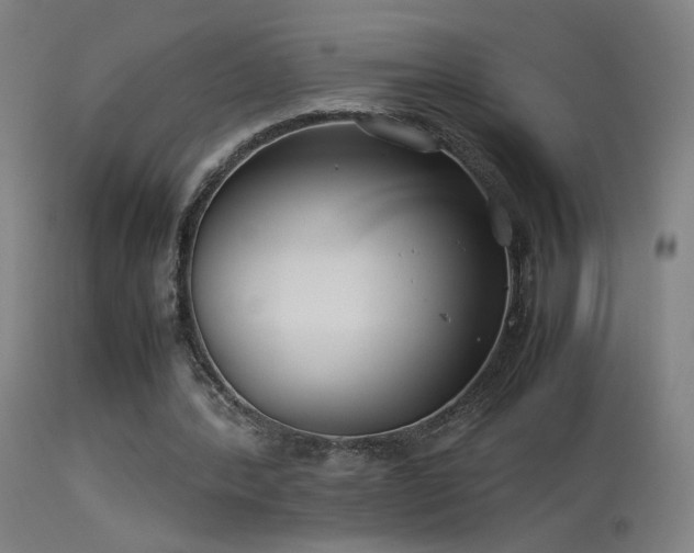 X0000114140388200910151614