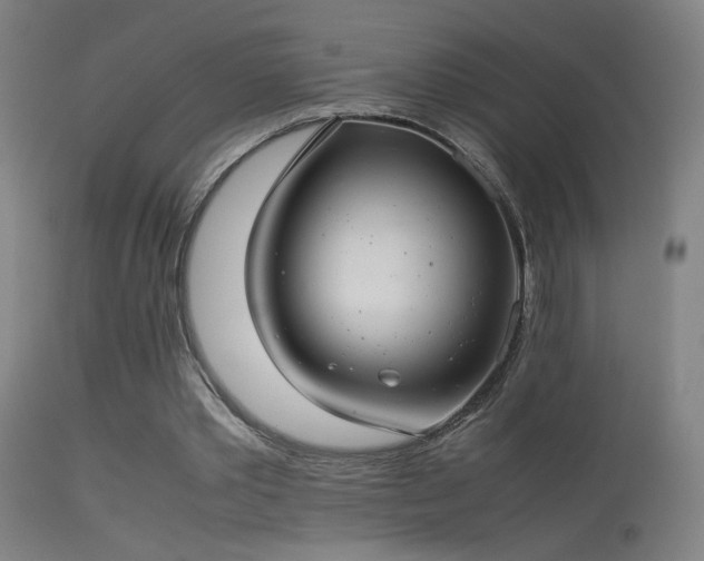 X0000114140389200910151614