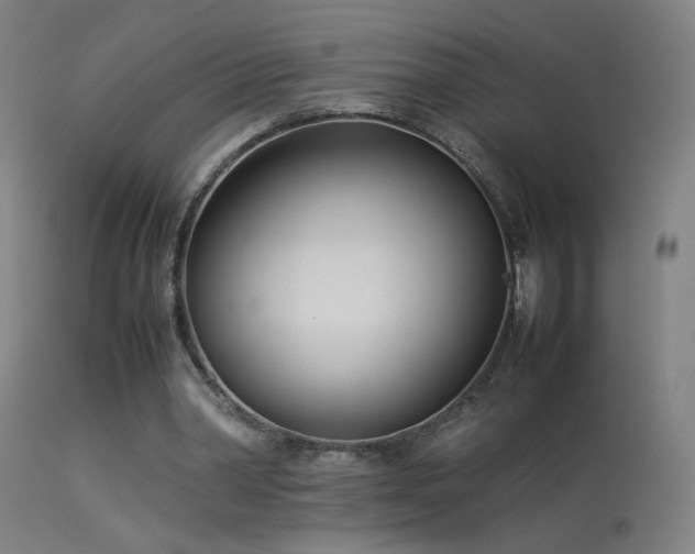 X0000114140390200910151614