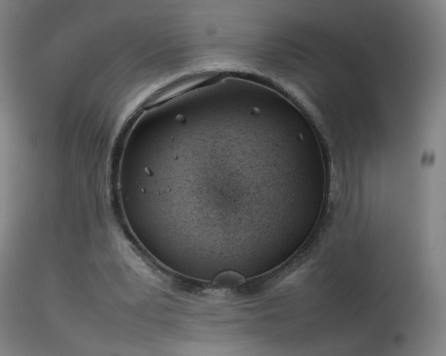 X0000114140391200910151614