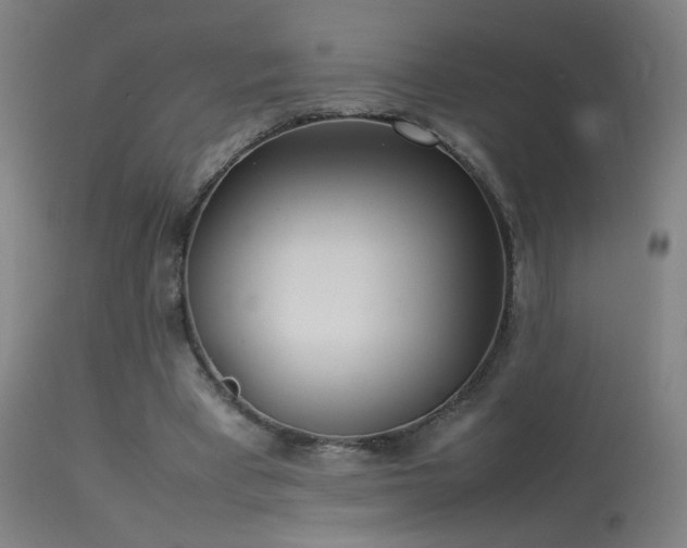 X0000114140393200910151614