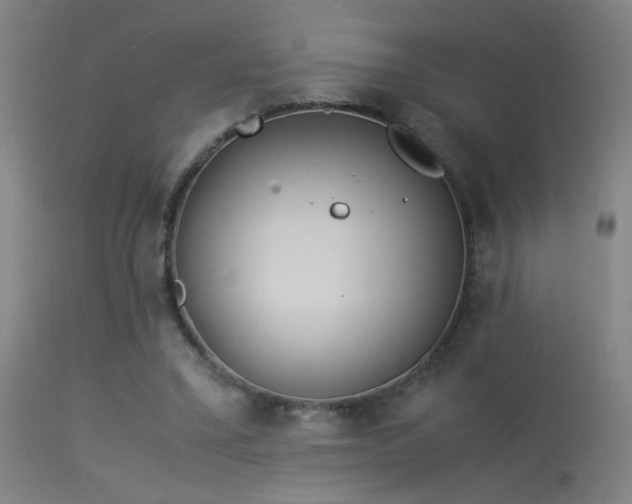 X0000114140395200910151614