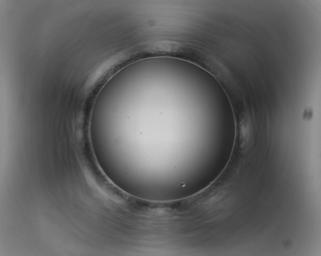 X0000114140396200910151614