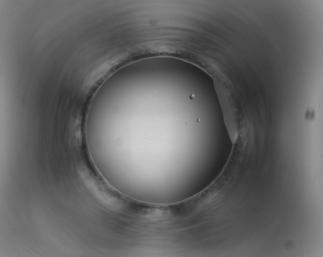 X0000114140398200910151614