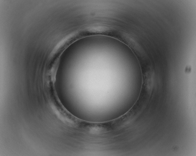 X0000114140400200910151614