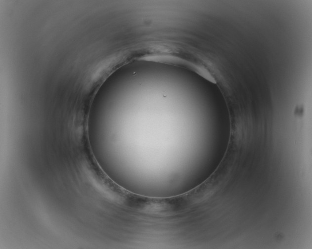 X0000114140402200910151614