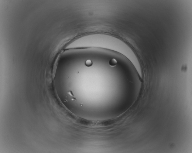 X0000114140403200910151614