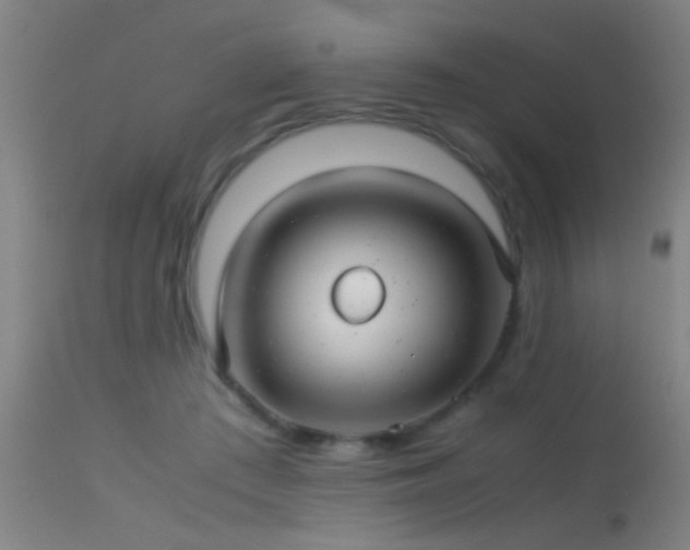 X0000114140409200910151614