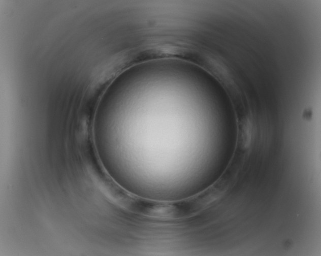 X0000114140410200910151614