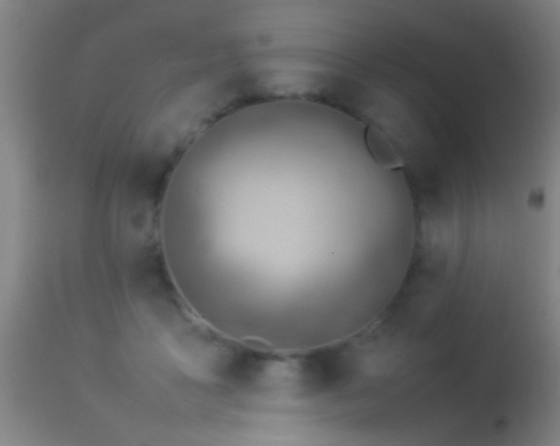 X0000114140411200910151614