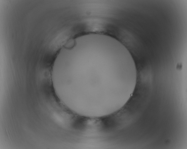 X0000114140415200910151614