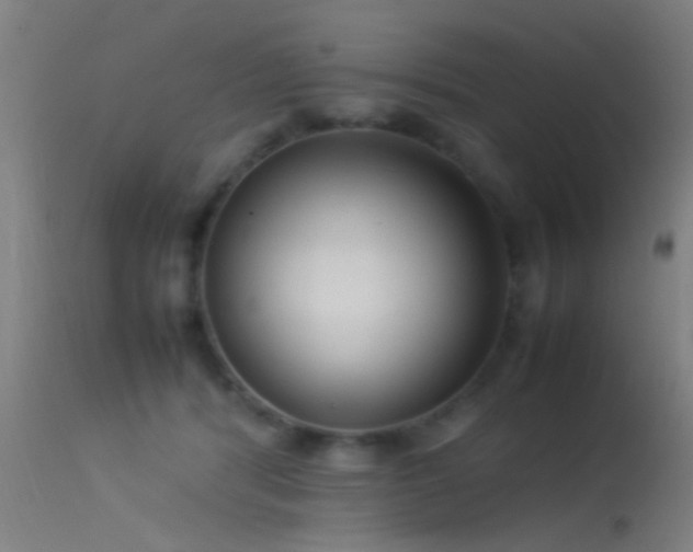 X0000114140416200910151614