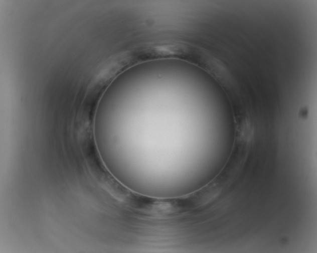 X0000114140418200910151614