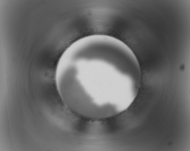 X0000114140419200910151614