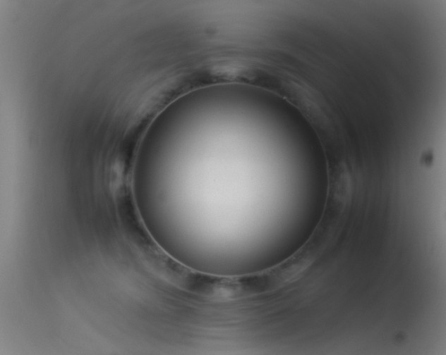 X0000114140420200910151614