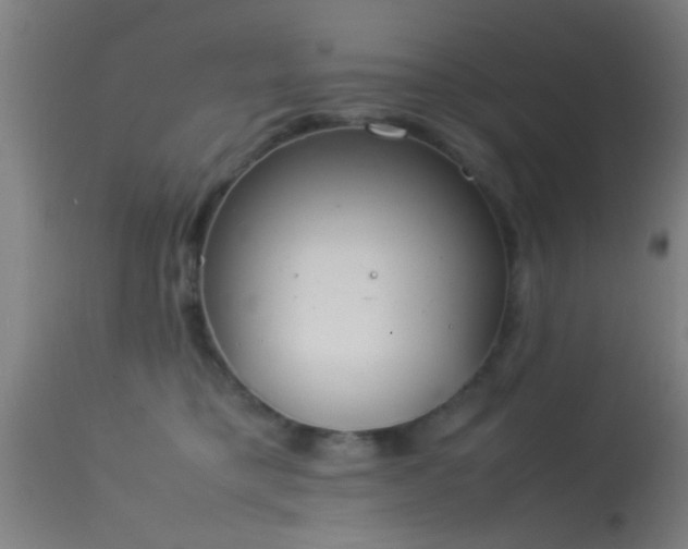 X0000114140421200910151614