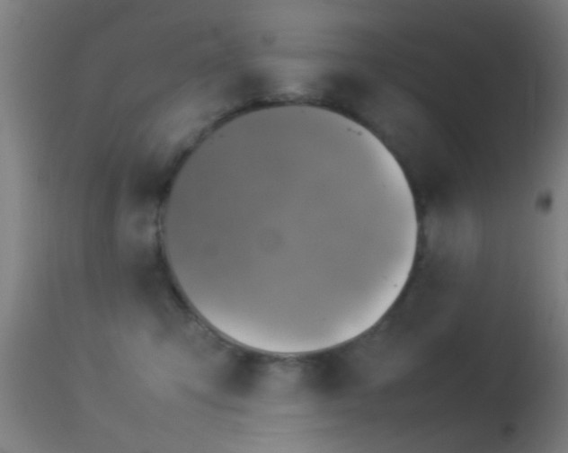 X0000114140423200910151614