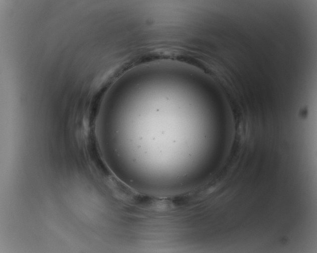 X0000114140424200910151614