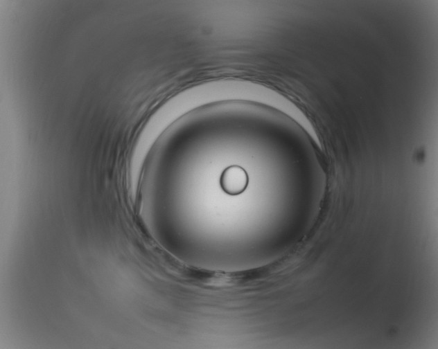 X0000114140425200910151614